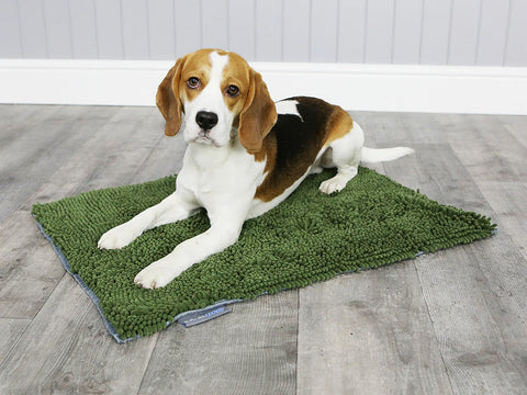 George Barclay MuttMop Deluxe Dry Mat Green