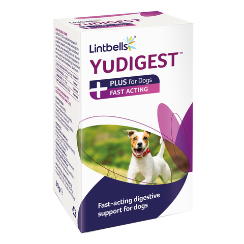 Lintbells Yudigest Dog Plus