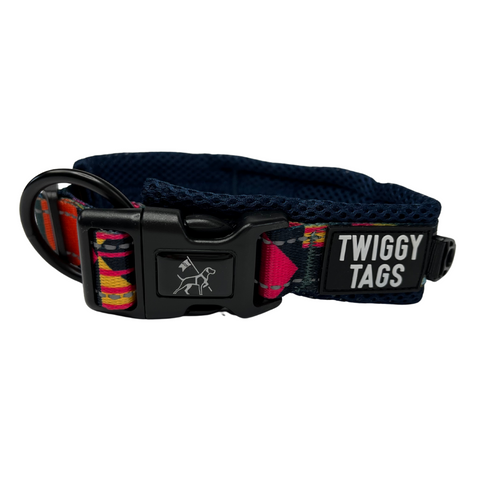 Twiggy Tags Adventure Collar Aurora