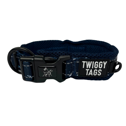 Twiggy Tags Adventure Collar Galactic