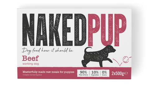 Naked Dog Puppy Beef