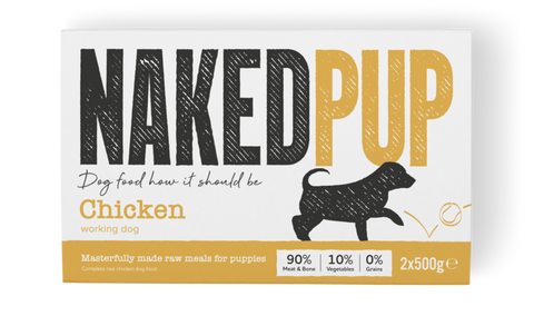 Naked Dog Puppy Chicken
