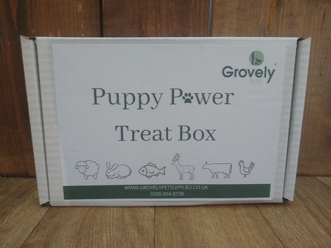 Puppy Power Treat Box