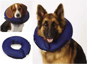 Inflatable collar