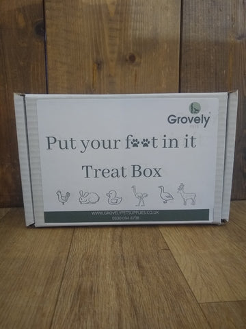 Put Your Foot In It Treat Box
